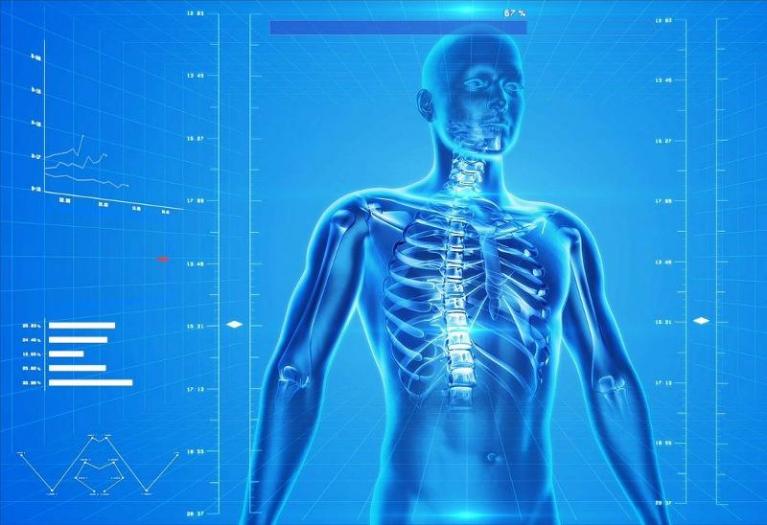 Naukowcy ze Stanów Zjednoczonych stworzyli kość z probówki